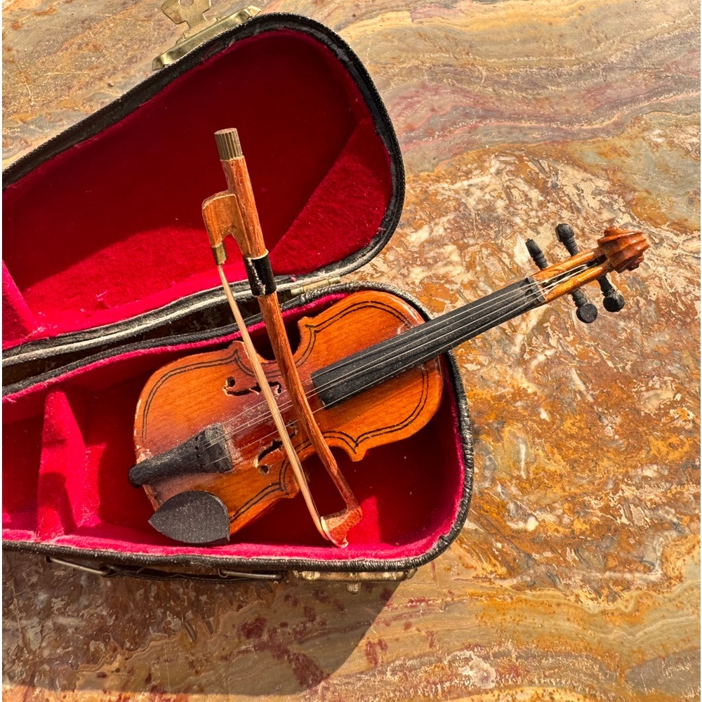 REALISTIC MINITURE VIOLIN AND CASE Host Pick!🎉